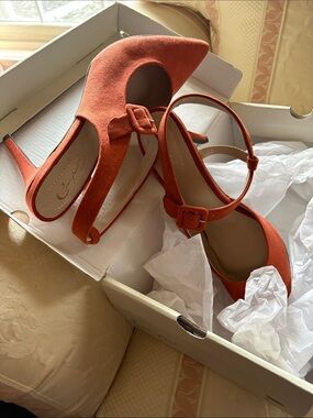 Suede Pointed-Toe Ankle-Strap Heels in Rust